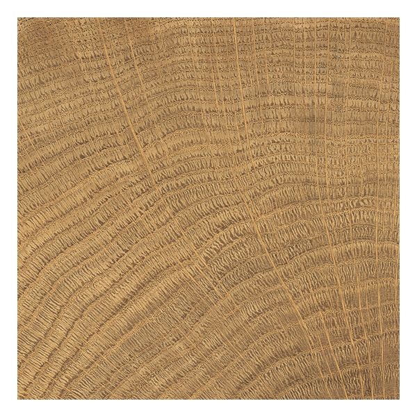 vtwonen Tegels Woodcirkle 10x10cm Walnutt Enje
