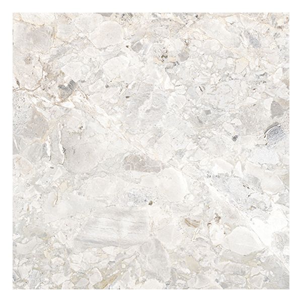 Douglas Jones Tinct 90,6x90,6cm Shell Wf901lr