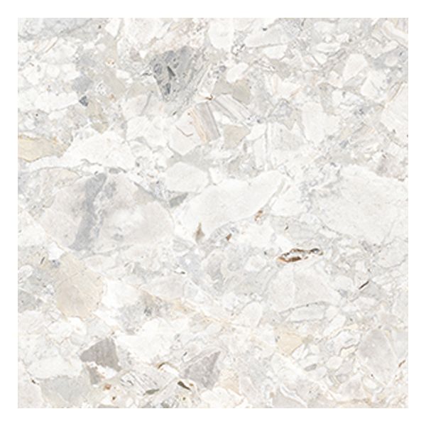 Douglas Jones Tinct 60,4x60,4cm Shell 0wf601r
