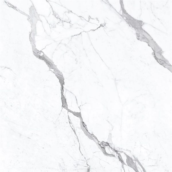 Energieker Statuario Superiore Lev. 120X120cm Glans