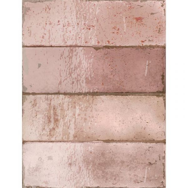 Estudio Amazonia Coral 6,5X20cm Glans