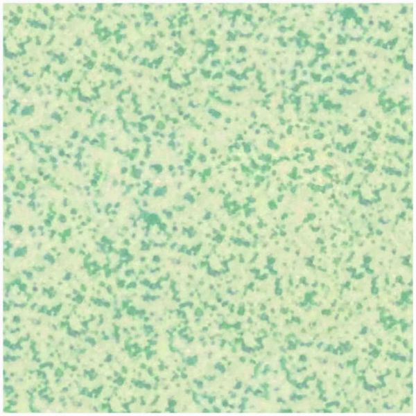 Winckelmans WM Loose 100mm Squares 209 Speckled Green