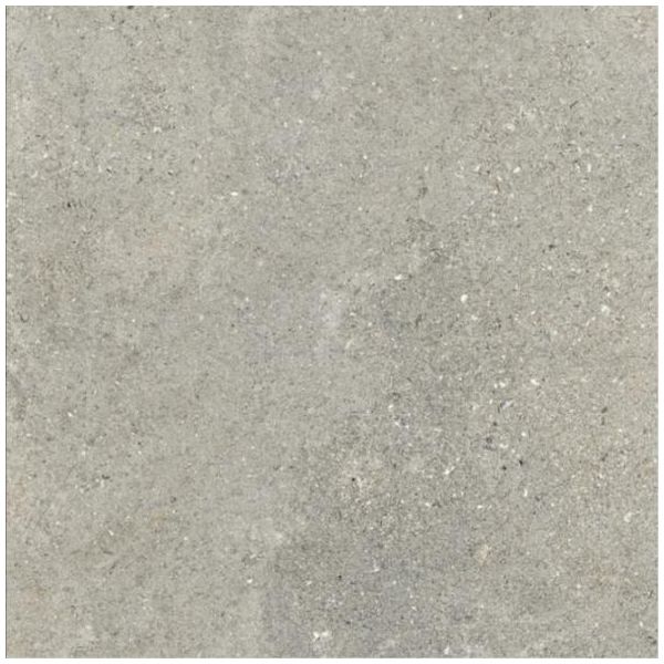 Ariostea Astra 100x100cm Grijs mat P100656