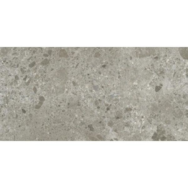 Ariostea Fragmenta Full Body 60x120cm Grijs mat PS612618