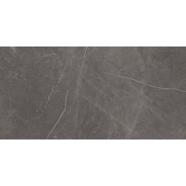 Ariostea Ultra Marmi 37,5x75cm Grijs glans UM6L37524