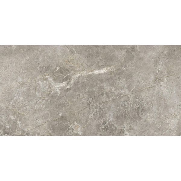 Ariostea Ultra Marmi 37,5x75cm Grijs glans UM6L37574