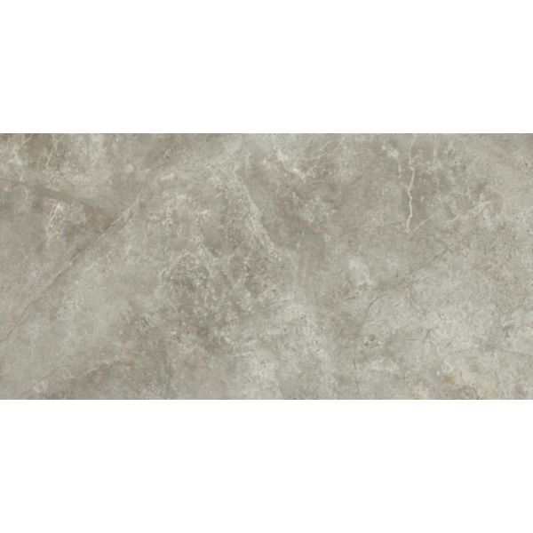 Ariostea Marmi Classici 60x120cm Grijs mat P612574