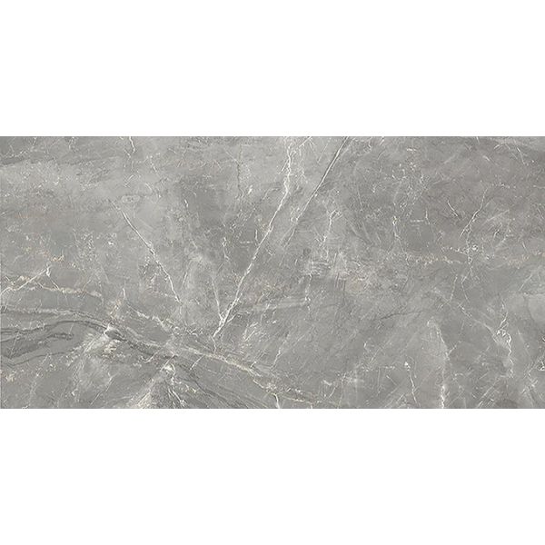 Arpa Topstone 60x120x0,7cm Zilver mat ATOP30