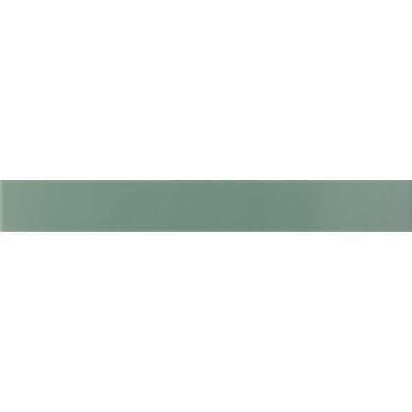 Equipe Hopp 5x40x0,8cm Groen mat VEN031186