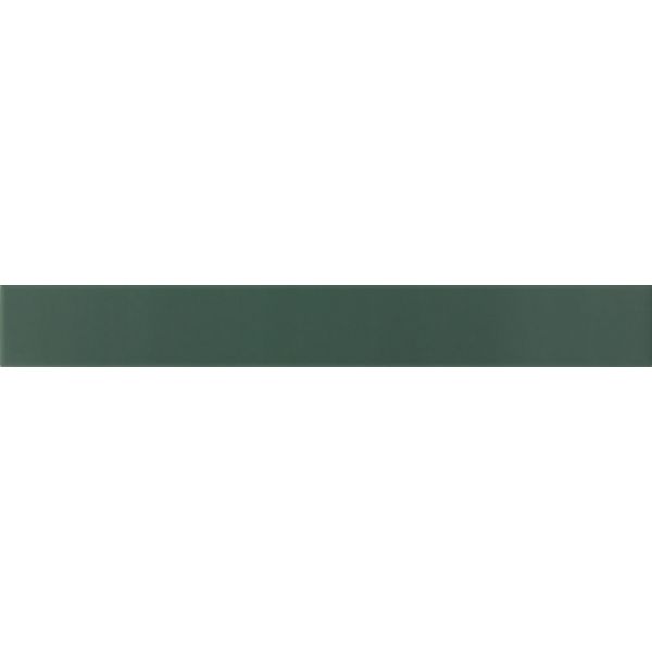 Equipe Hopp 5x40x0,8cm Groen mat VEN031248