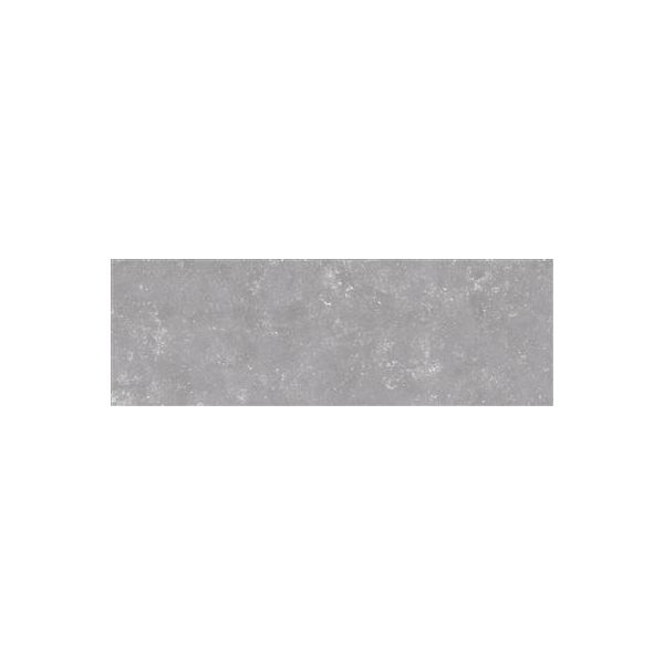 SALONI B-stone Grijs 25x75cm (B-Stone Gris Ceravision)