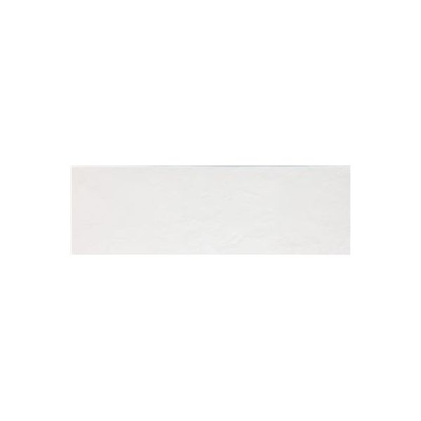 Saloni Blancos Wit 25x75cm