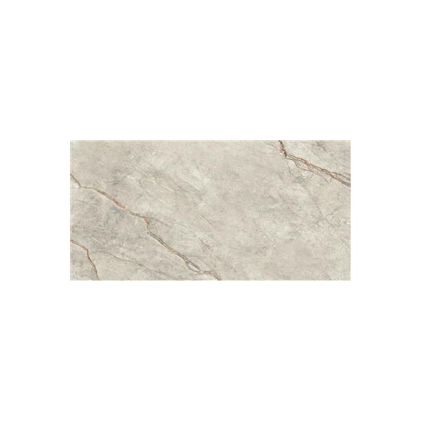 Imola The Room Grijs 60x120cm (The Room Grey Roots 12)