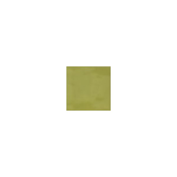 Iris Bottega 15x15x1cm Groen glans 511045