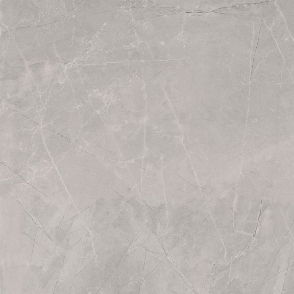 Baldocer Cerámica Bayona Silver Mat 120x120 rett