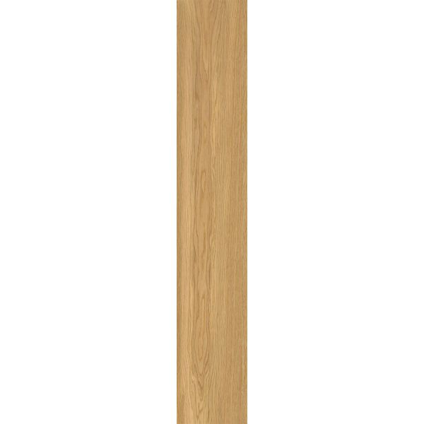 Energieker Woodwise Caramel 6mm 20x120 rett