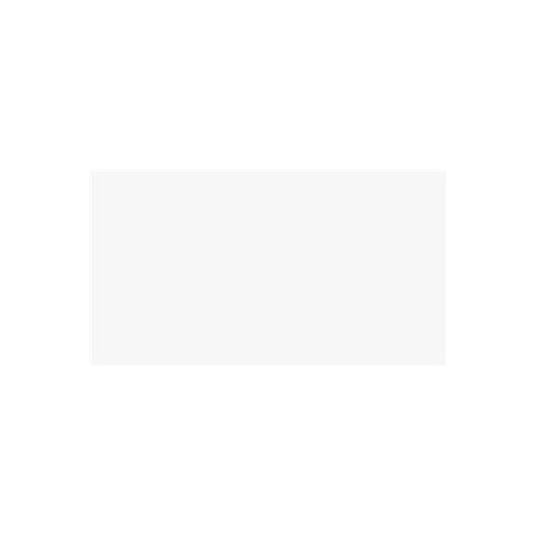 Recer Urban Branco Mate 31x61 Ongerectificeerd