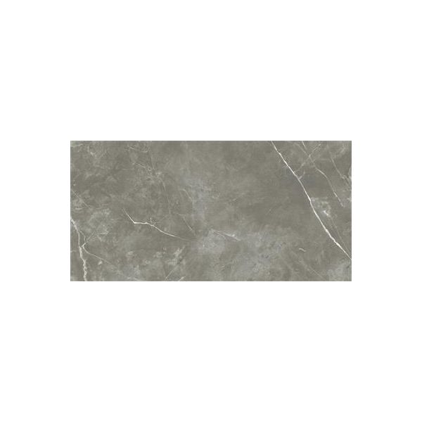 Ecoceramic Luxe Puccini Gris Polished 30x60 (R)