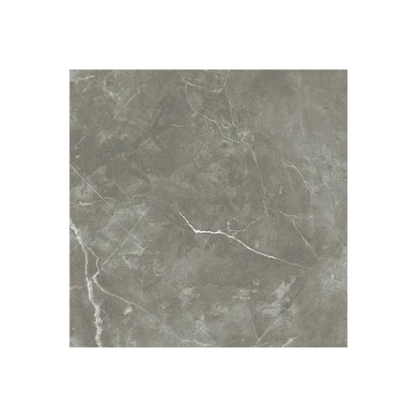 Ecoceramic Luxe Puccini Gris Polished 60x60 (R)
