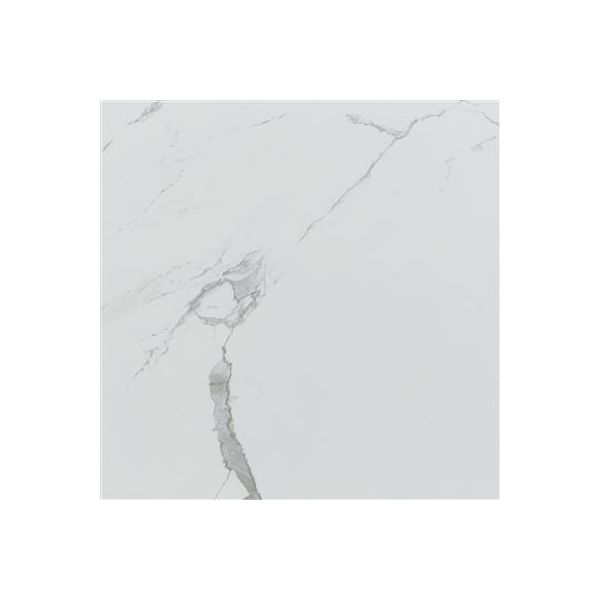Ecoceramic Luxe Grayish Polished 120x120 (R)