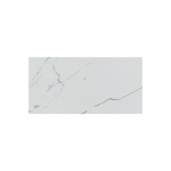 Ecoceramic Luxe Grayish Polished 30x60 (R)