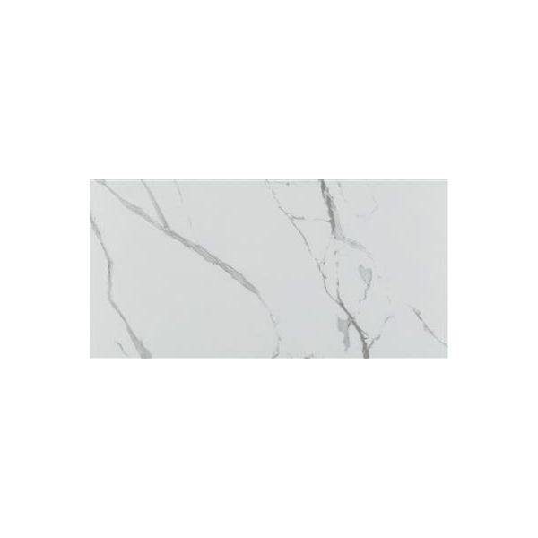 Ecoceramic Luxe Grayish Polished 60x120 (R)