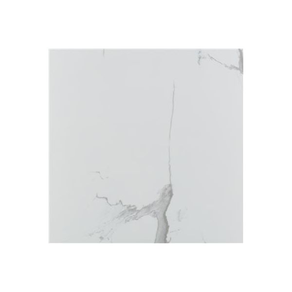 Ecoceramic Luxe Grayish Polished 60x60 (R)
