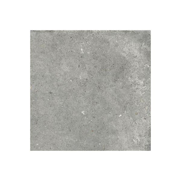 Ariana Anima Grigio 60x60 (R)