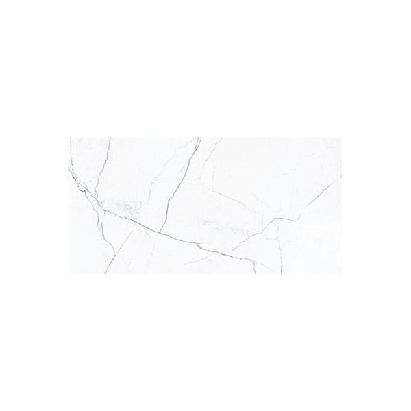 Ecoceramic Luxe Elegance Marble White Polished 60x120 (R)