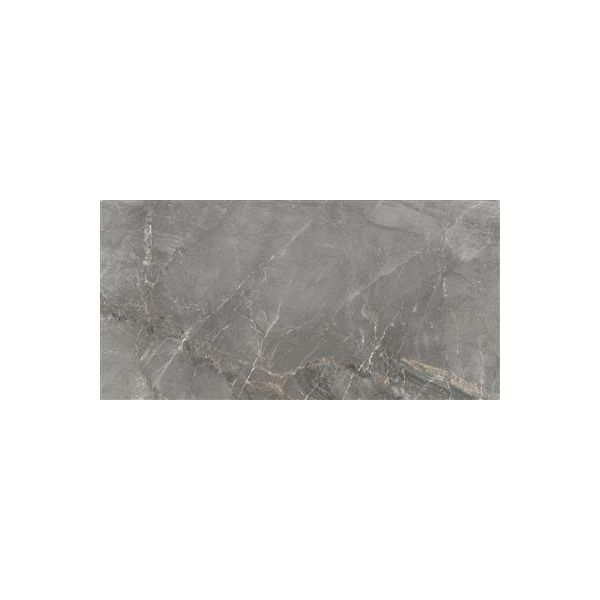 Cerdomus Sybil Silver Polished 60x120 (R)