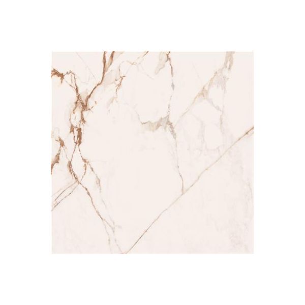 Cerdomus Omnia Machia Vecchia Matt 120x120 (R)