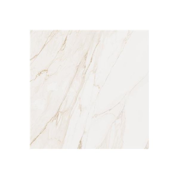 Cerdomus Omnia Calacatta Matt 120x120 (R)