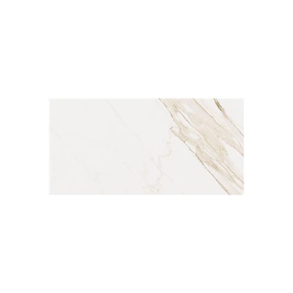 Cerdomus Omnia Calacatta Matt 60x120 (R)