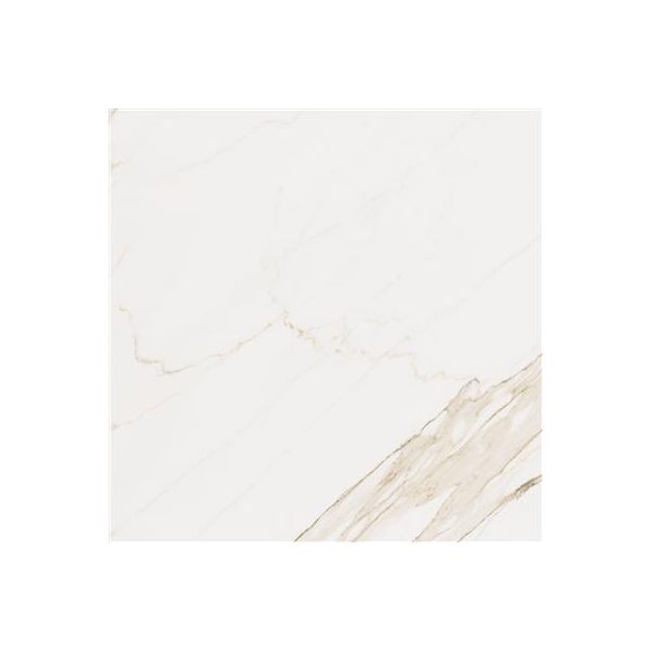 Cerdomus Omnia Calacatta Polished 120x120 (R)