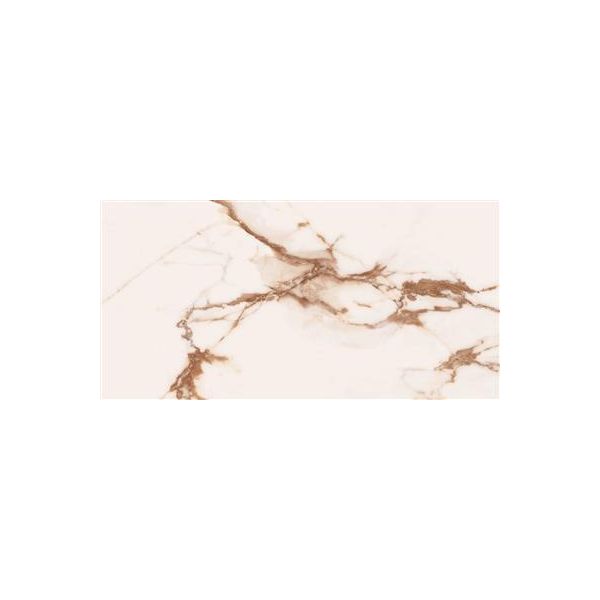 Cerdomus Omnia Machia Vecchia Matt 30x60 (R)