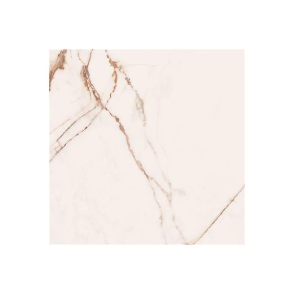 Cerdomus Omnia Machia Vecchia Matt 60x60 (R)
