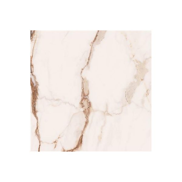 Cerdomus Omnia Machia Vecchia Polished 60x60 (R)