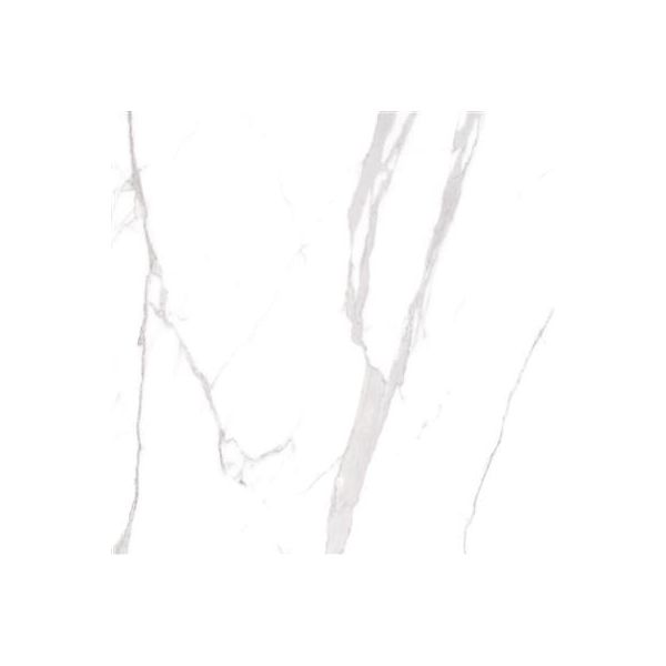 Cerdomus Omnia Statuario Matt 120x120 (R)