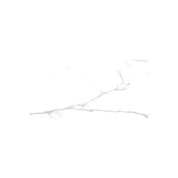 Cerdomus Omnia Statuario Matt 60x120 (R)