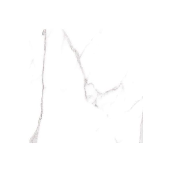 Cerdomus Omnia Statuario Matt 60x60 (R)