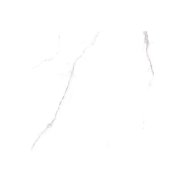 Cerdomus Omnia Statuario Polished 60x60 (R)