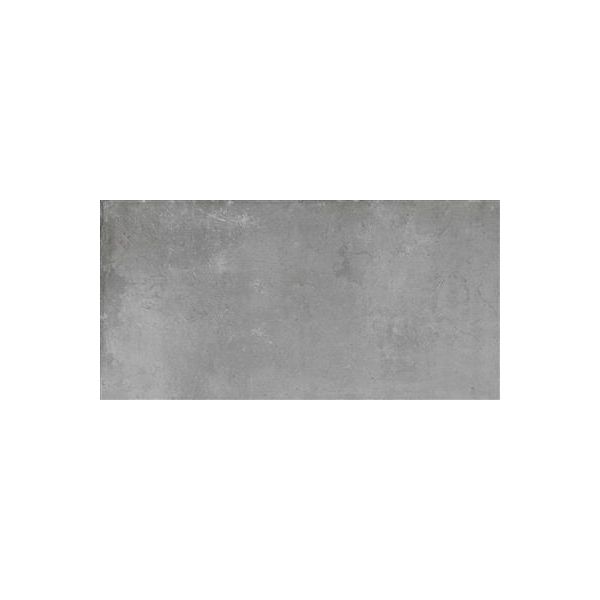 Ecoceramic Cloud Silver 60x120 (R)