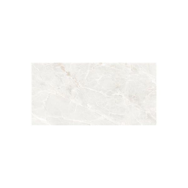 Ecoceramic Brasilia White Mate 60x120 (R)
