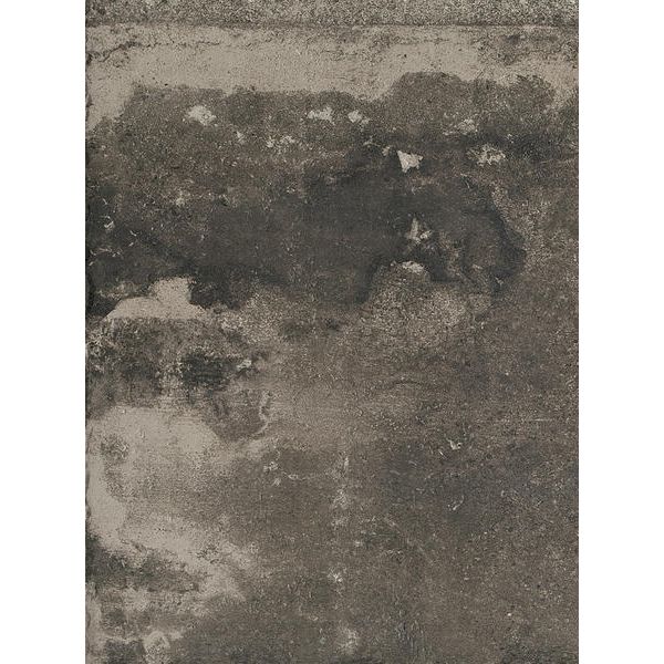 Rex La Roche 40x80 Mud