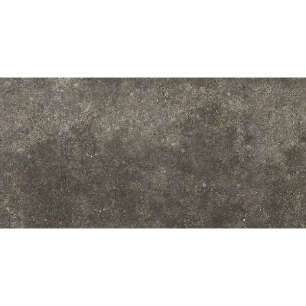 Rex La Roche 60x120 Mud