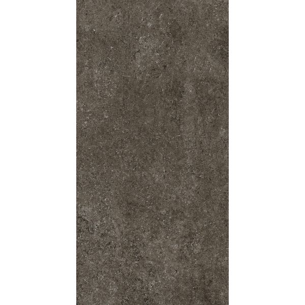 Florim Sensi Brown Fossil Matt Naturale Rt 60X120  9mm