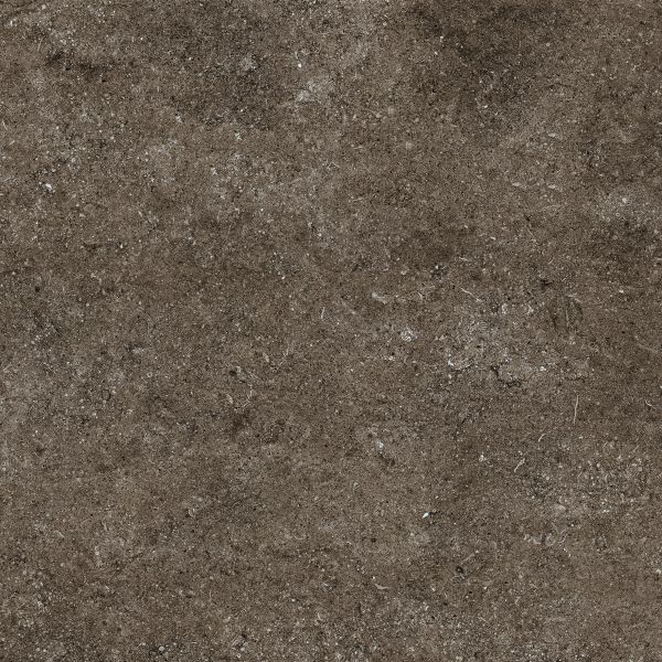 Florim Sensi Brown Fossil Matt Naturale Rt 80X80  9mm