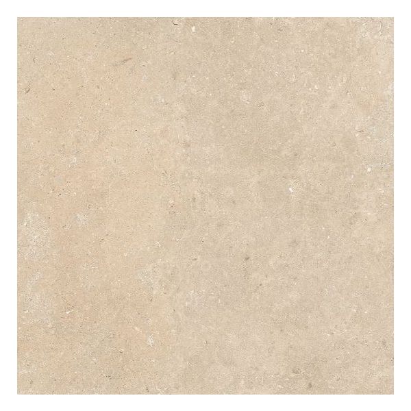 Florim Authentic Stone 120x120cm Leather
