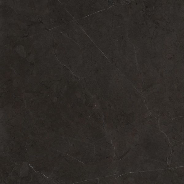 Caesar Anima 60x120 Graphite Luc Rect