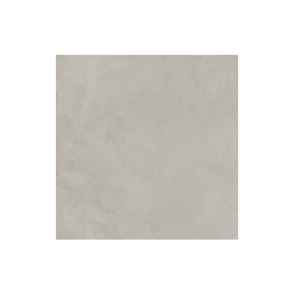 Caesar Join 60x60 Platinum Rect R10 MAT